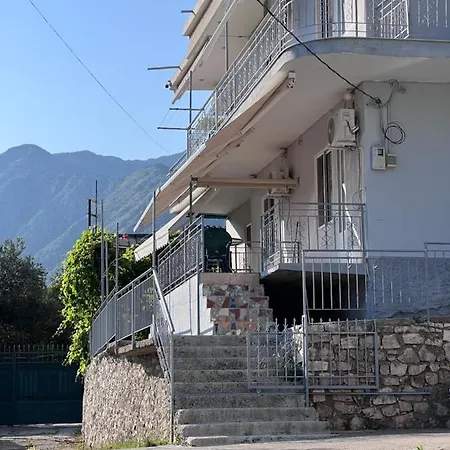 Homestay Dhoma Plazhi Husi
