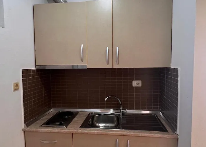 Dhoma Plazhi Husi 博尔什